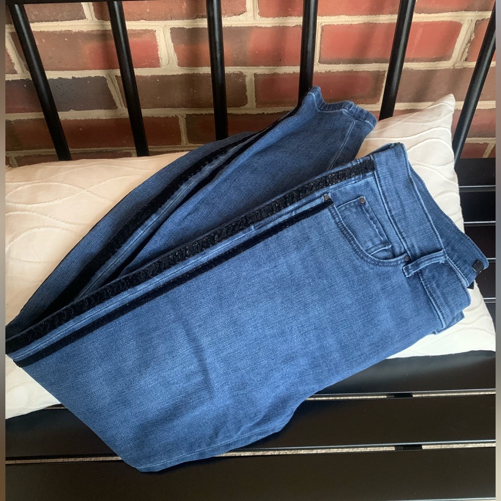 Ann Taylor Velvet Stripe Accent Jeans